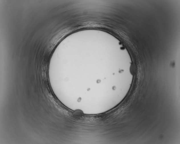 X0000115301273200911301505