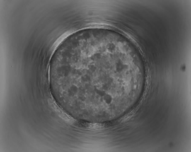 X0000115301275200911301505