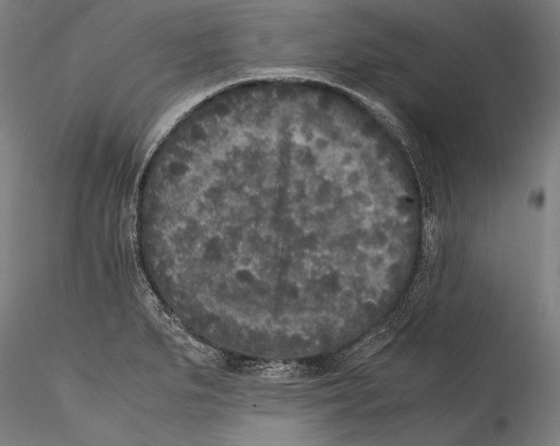 X0000115301279200911301505