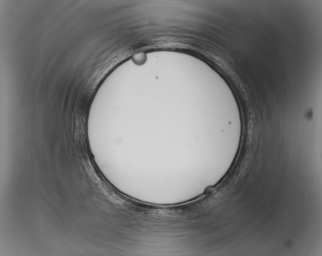 X0000115301281200911301505