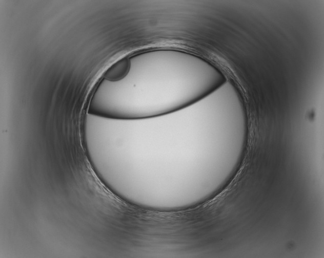 X0000115301284200911301505