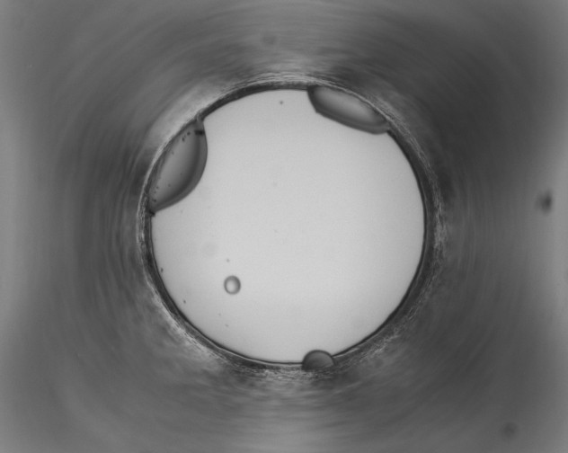 X0000115301285200911301505