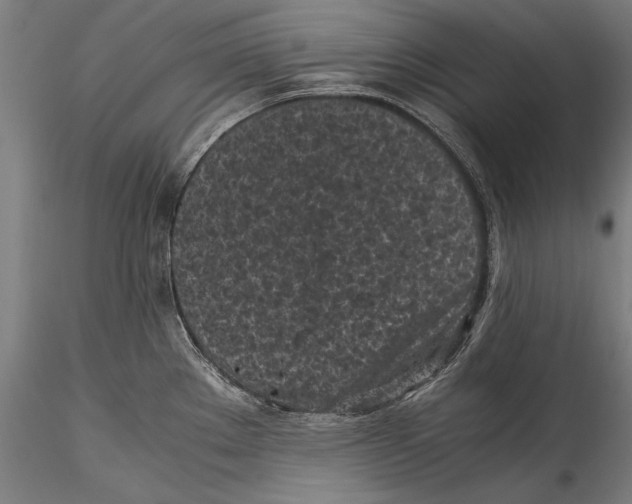 X0000115301289200911301505