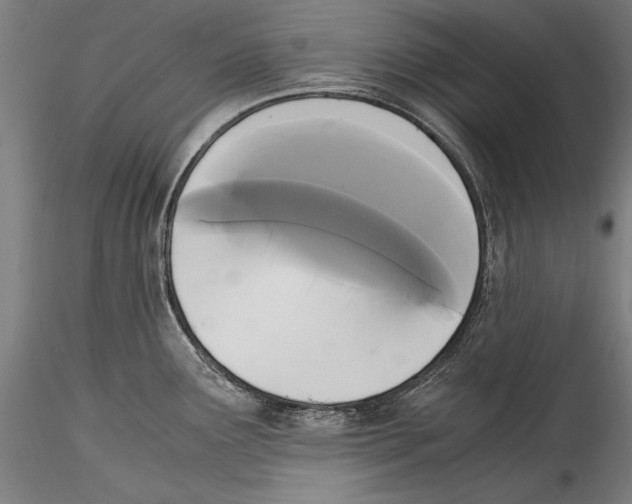 X0000115301291200911301505