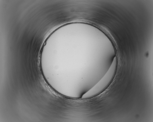 X0000115301292200911301505