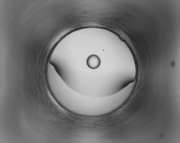 X0000115301293200911301505