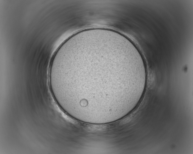 X0000115301294200911301505