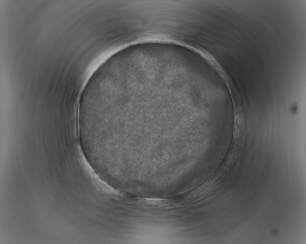 X0000115301295200911301505