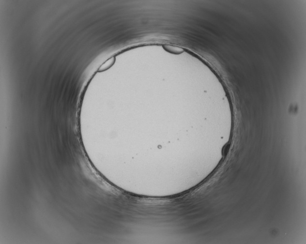 X0000115301296200911301505