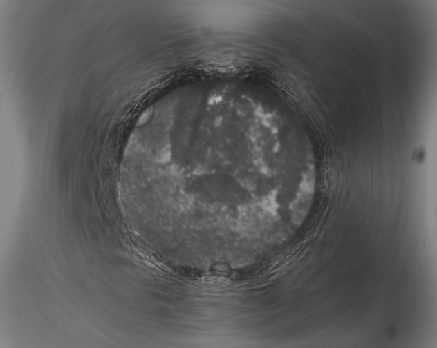 X0000115301297200911301504