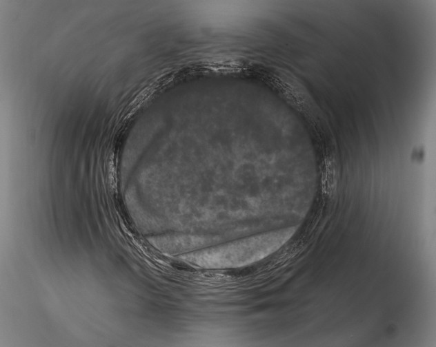 X0000115301298200911301504