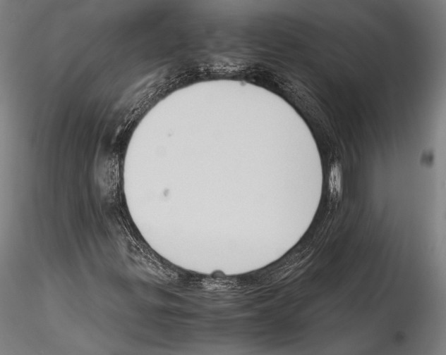 X0000115301299200911301504