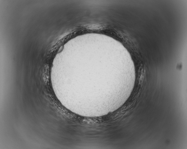 X0000115301301200911301504