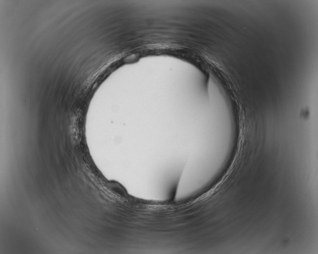 X0000115301305200911301504