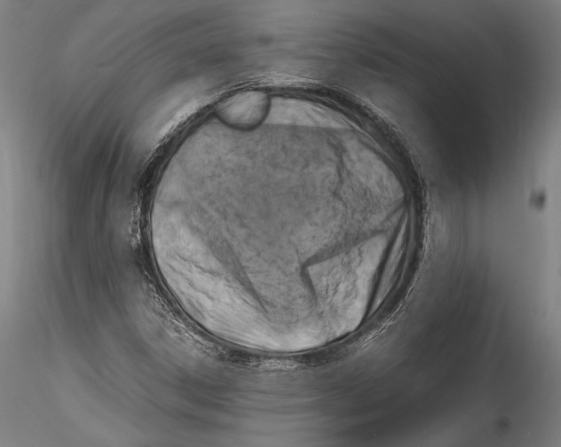 X0000115301306200911301504