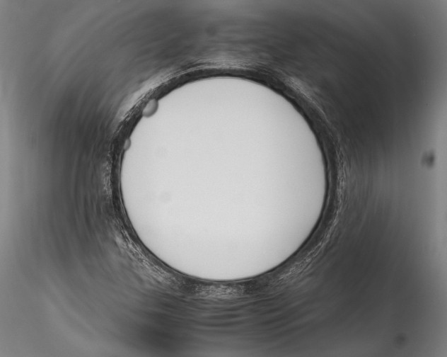 X0000115301307200911301504