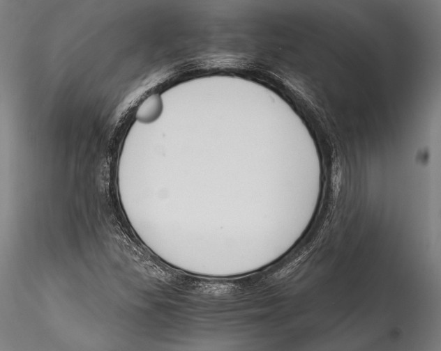 X0000115301309200911301504