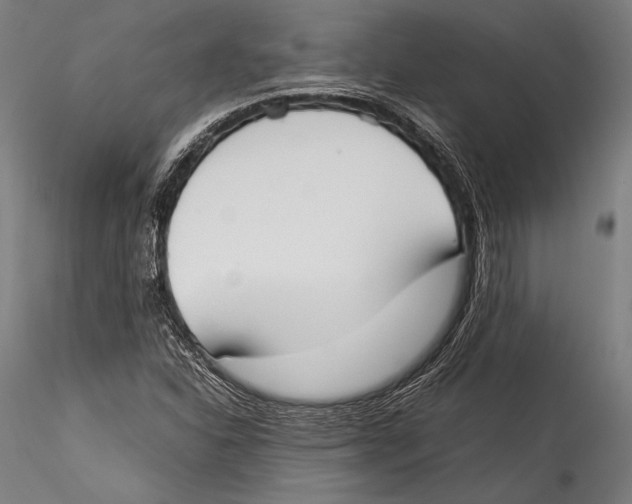 X0000115301310200911301504