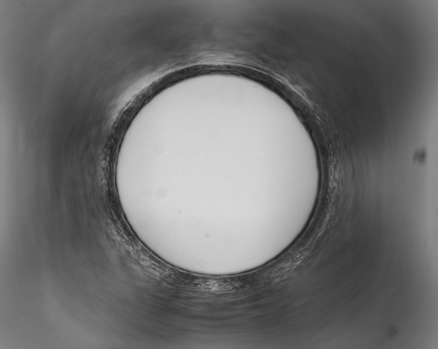 X0000115301311200911301504