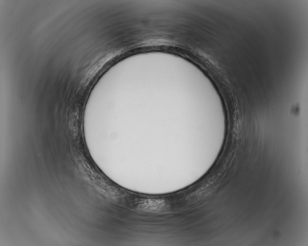 X0000115301313200911301504