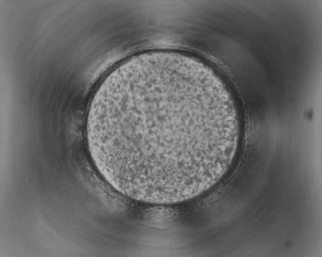 X0000115301314200911301504