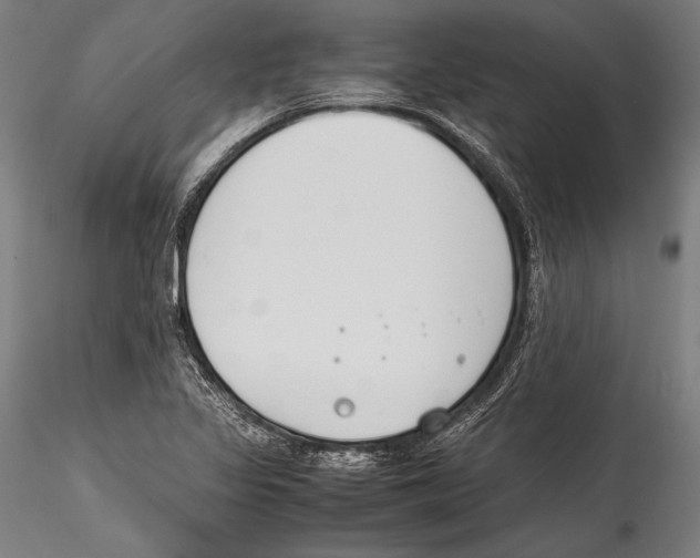 X0000115301317200911301504