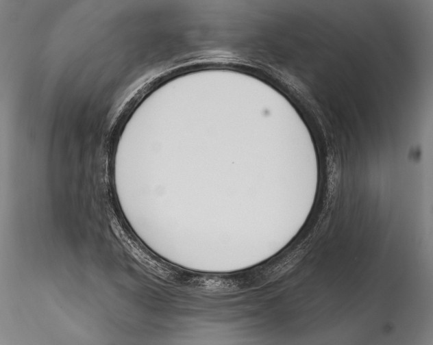 X0000115301318200911301504