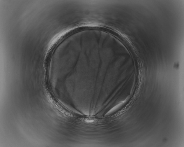 X0000115301319200911301504