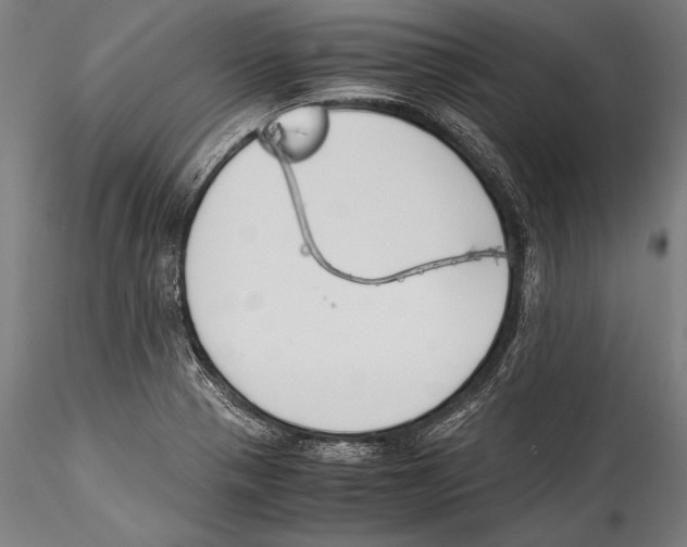 X0000115301321200911301505