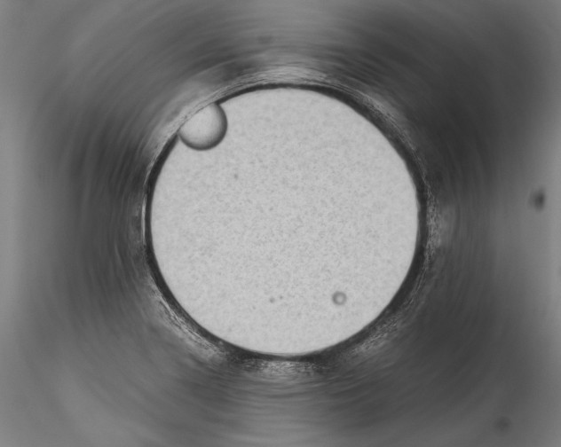 X0000115301322200911301505