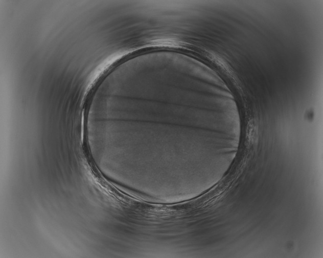 X0000115301323200911301505