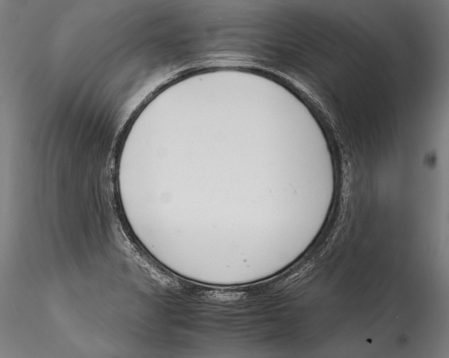 X0000115301325200911301505