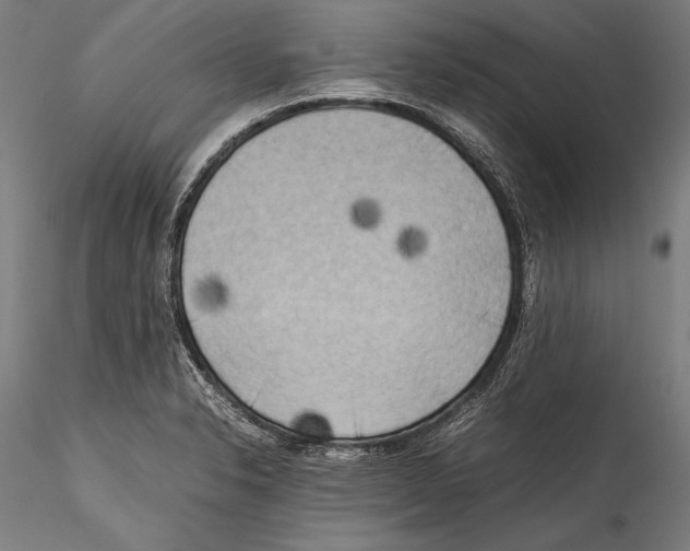 X0000115301326200911301505