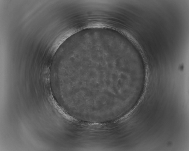 X0000115301329200911301505