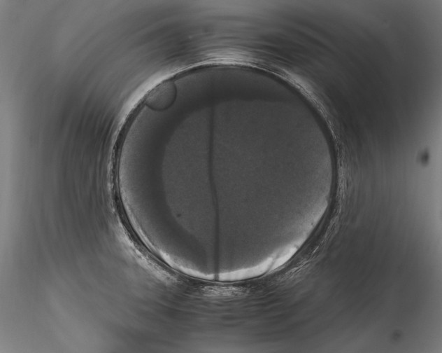 X0000115301331200911301505