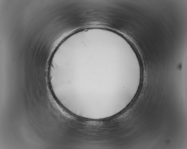 X0000115301333200911301505