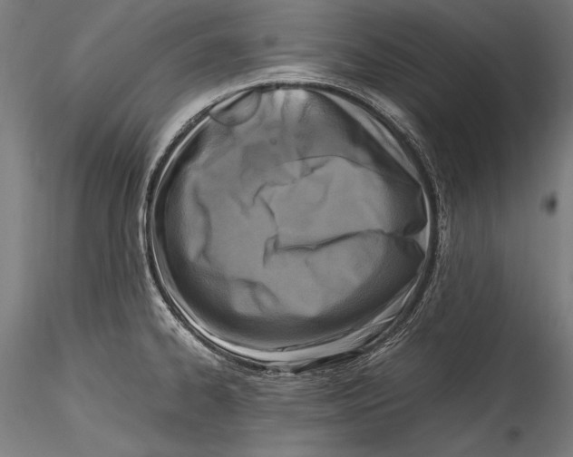 X0000115301334200911301505