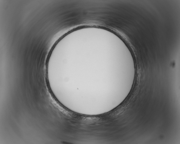 X0000115301335200911301505