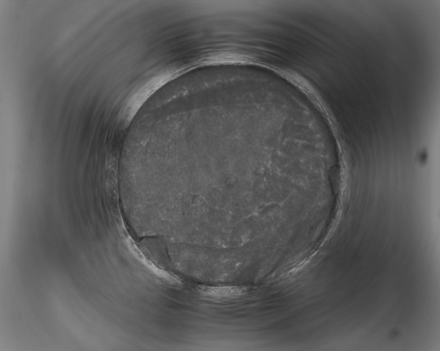 X0000115301337200911301505