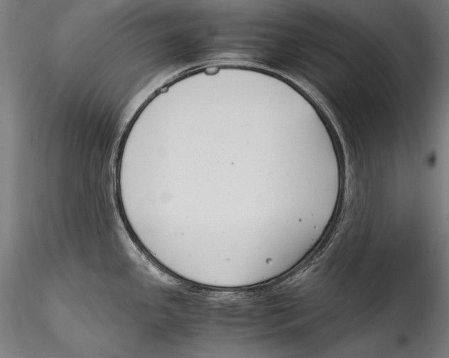 X0000115301341200911301505