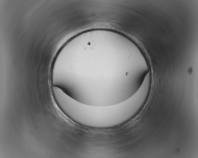 X0000115301342200911301505