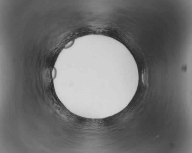 X0000115301347200911301504