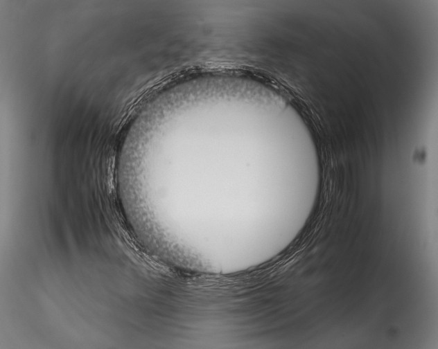 X0000115301348200911301504