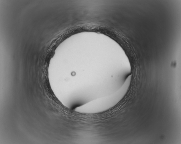 X0000115301349200911301504