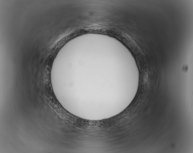 X0000115301350200911301504