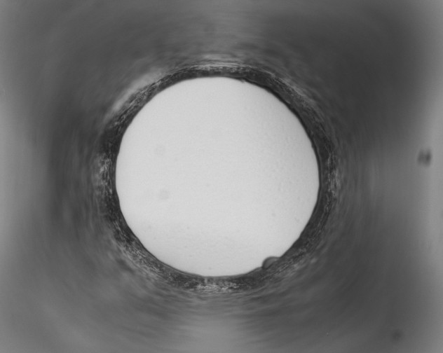 X0000115301351200911301504