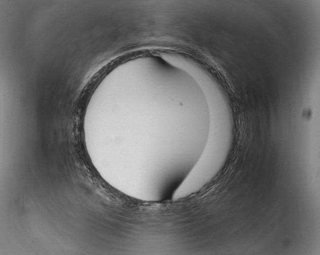 X0000115301352200911301504