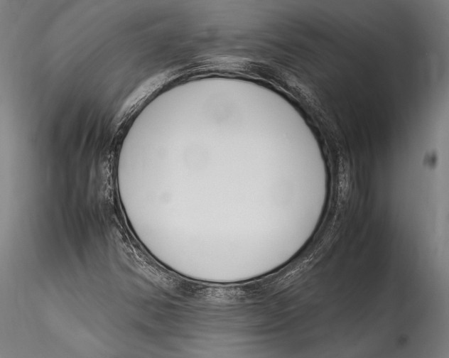 X0000115301354200911301504