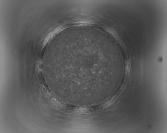 X0000115301357200911301504