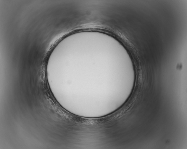 X0000115301358200911301504